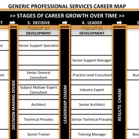 Professional Services Career Map